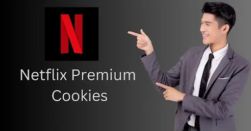 Are Netflix Premium Cookies safe?