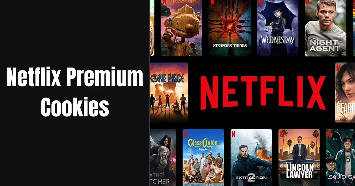 Netflix Premium Cookies